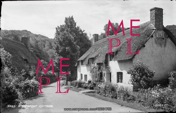 : A Somerset Cottage : A Somerset Cottage