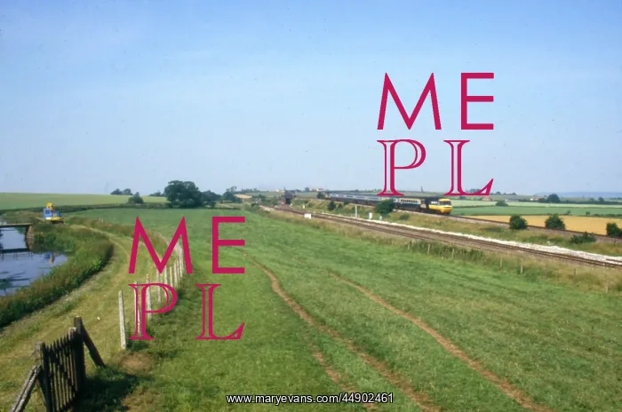 : Somerset Levels, Somerset : Somerset Levels, Somerset