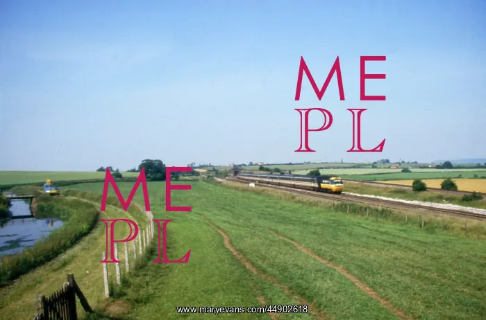 : Somerset Levels, Somerset : Somerset Levels, Somerset