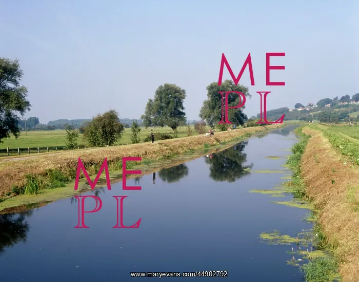 : Somerset Levels, Somerset : Somerset Levels, Somerset