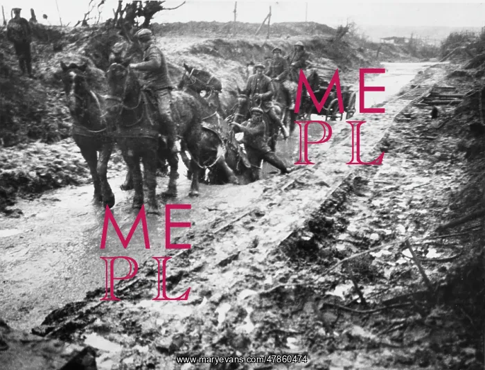 : The Somme 1916 : The Somme 1916