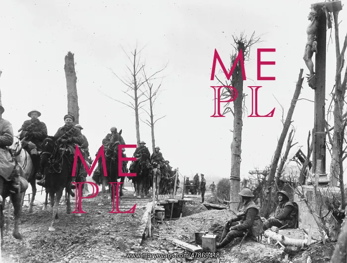 : The Somme, 1917 : The Somme, 1917