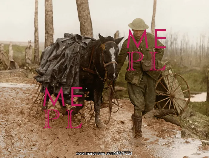: The Somme in Colour : The Somme in Colour