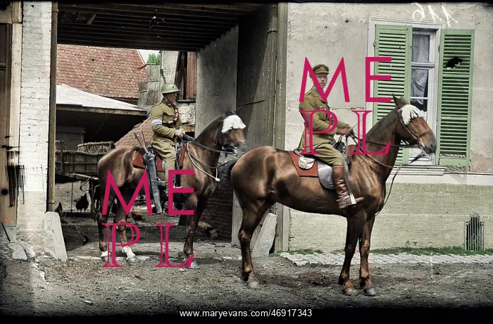 : The Somme in Colour : The Somme in Colour
