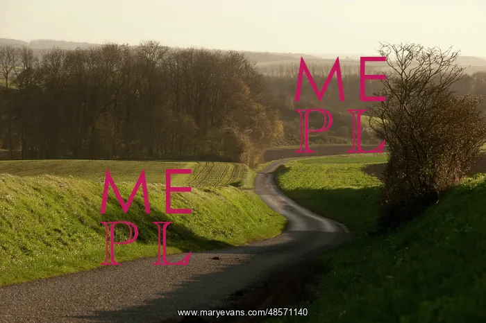  : The Somme - Guillemont