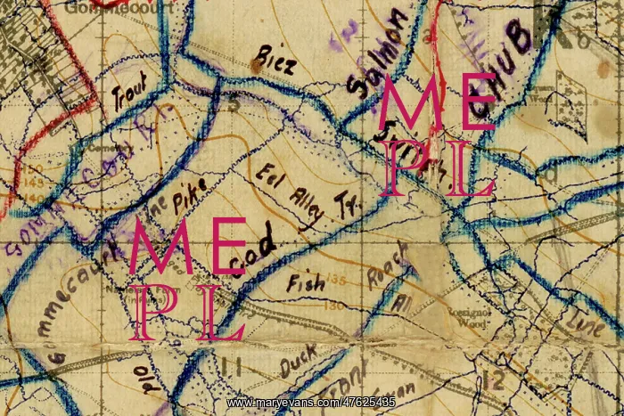 : Somme Map of trenches on the battlefield during WWI : Somme Map of trenches on the battlefield during WWI