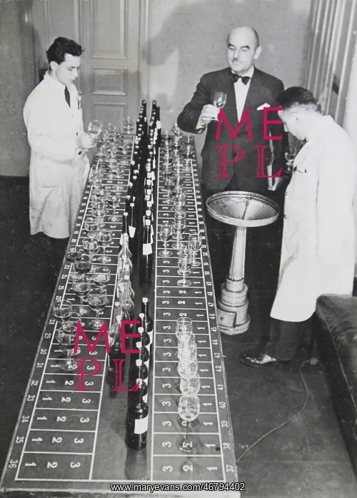: Sommelier checks hundreds of wines : Sommelier checks hundreds of wines