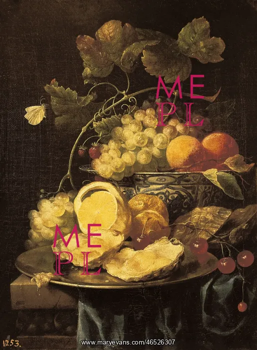  : SON, Joris van (1623-1667)