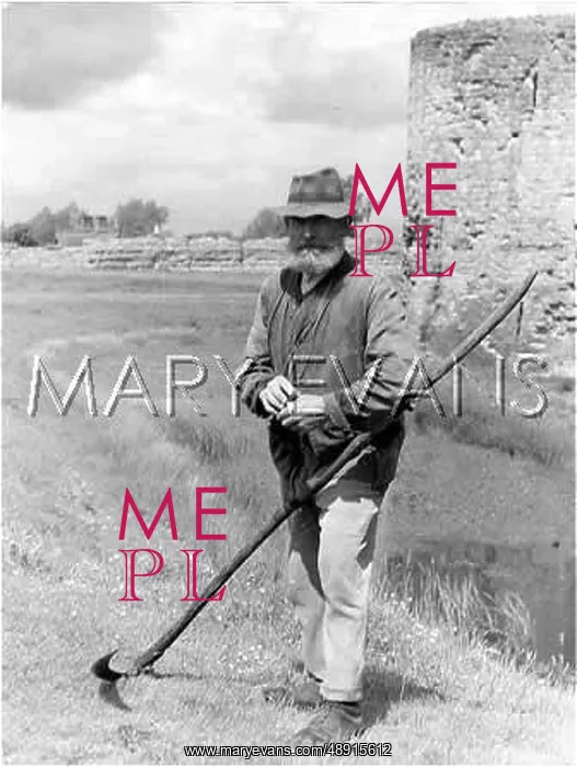 : SON OF THE SOIL : SON OF THE SOIL