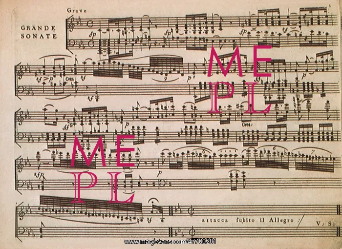  : Sonate Pathetique Music