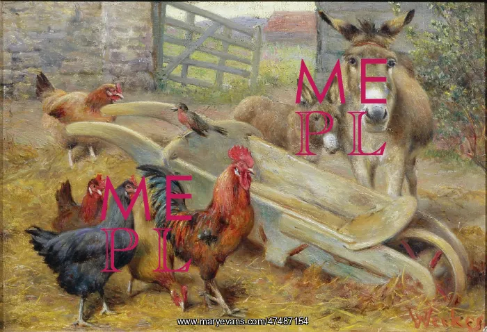 : Song and Audience – Robin, Hens, Donkey : Song and Audience – Robin, Hens, Donkey