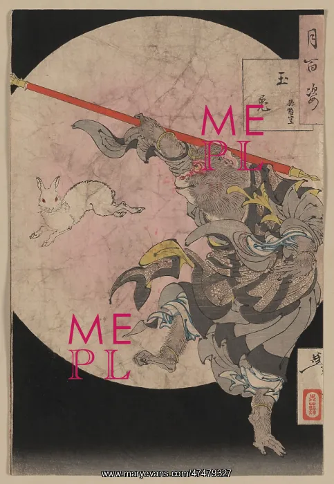 : Songoku and jewel hare : Songoku and jewel hare