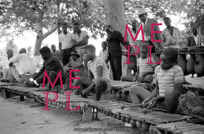: Three sons of Chief Mahlatini playing in the orchestra : Three sons of Chief Mahlatini playing in the orchestra