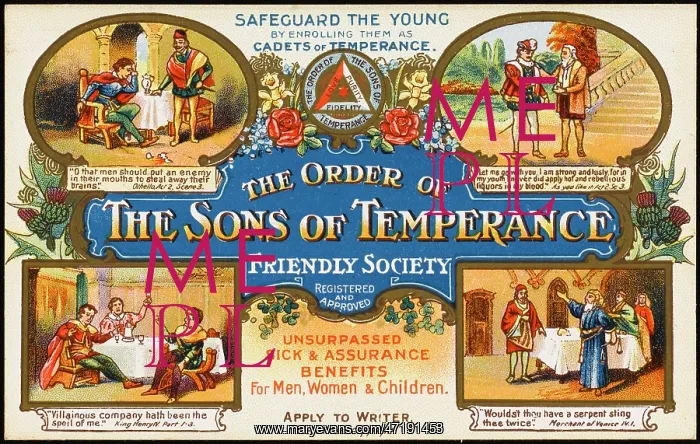 : SONS OF TEMPERANCE 2 / 2 : SONS OF TEMPERANCE 2 / 2