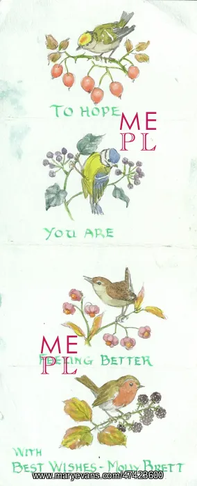 : Get Well Soon illustrated note from Molly Brett : Get Well Soon illustrated note from Molly Brett