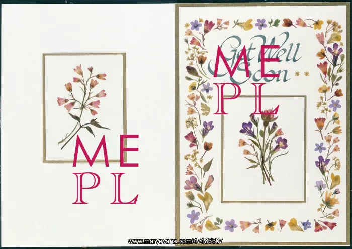 : Get Well Soon ' Rosebud, Lobelia etc : Get Well Soon ' Rosebud, Lobelia etc