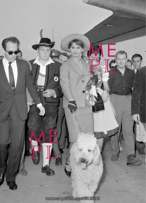 : Sophia Loren in Vienna : Sophia Loren in Vienna