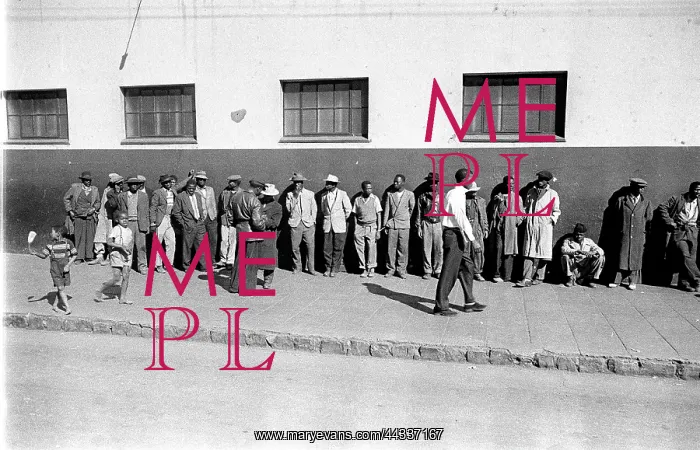 : Sophiatown Removals - The Move : Sophiatown Removals - The Move