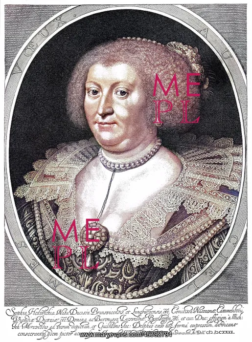 : SOPHIE HEDWIG VAN NASSAU : SOPHIE HEDWIG VAN NASSAU