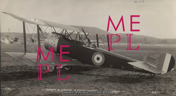 : Sopwith 1 1 / 2 Strutter : Sopwith 1 1 / 2 Strutter