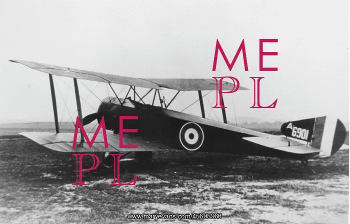 : Sopwith 1.5 Strutter fighter plane : Sopwith 1.5 Strutter fighter plane