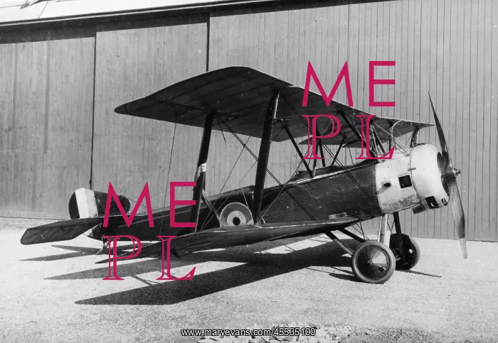 : Sopwith 15 Strutter (forward view, on the ground) : Sopwith 15 Strutter (forward view, on the ground)