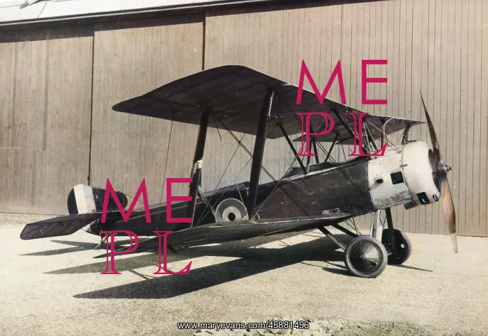 : Sopwith 15 Strutter (forward view, on the ground).? : Sopwith 15 Strutter (forward view, on the ground).?
