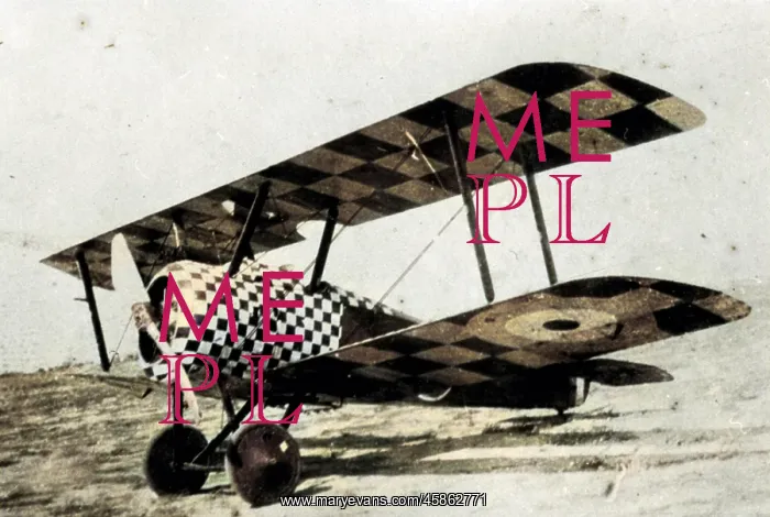 : Sopwith 1F Camel entered service in mid 1917 with both? : Sopwith 1F Camel entered service in mid 1917 with both?