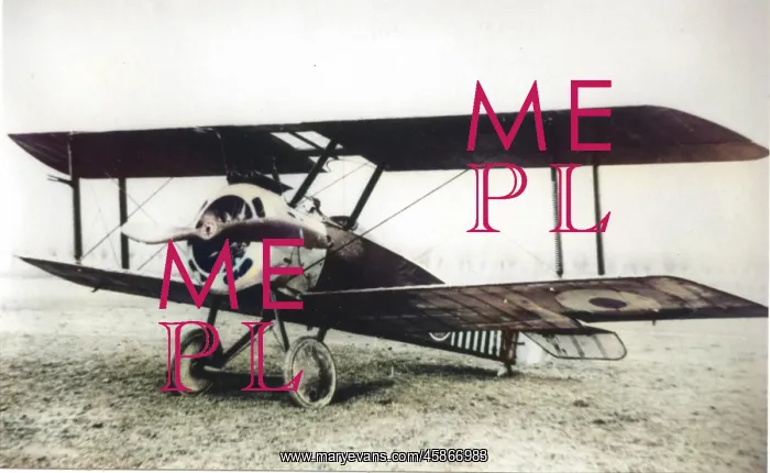 : Sopwith 1F Camel single-seater : Sopwith 1F Camel single-seater