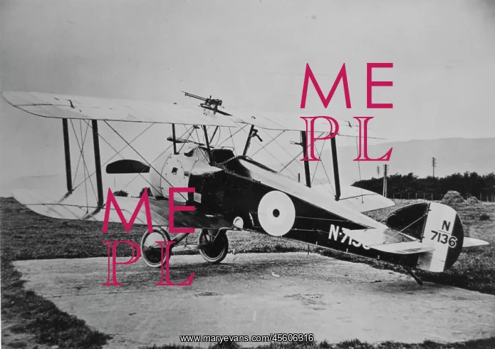 : Sopwith 2F Camel fighter plane : Sopwith 2F Camel fighter plane