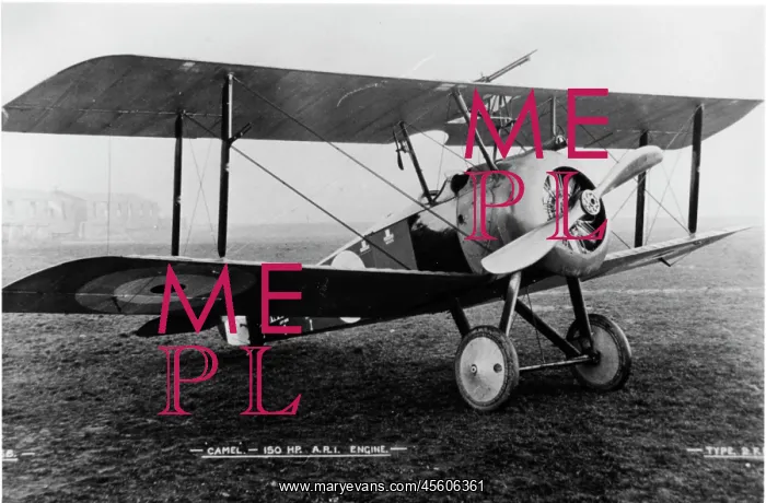 : Sopwith 2F Camel fighter plane : Sopwith 2F Camel fighter plane