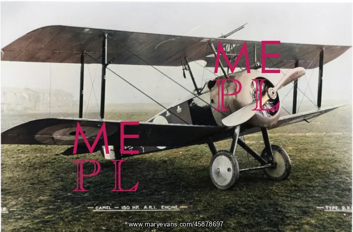 : Sopwith 2F Camel fighter plane : Sopwith 2F Camel fighter plane