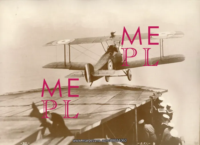 : Sopwith 2F1 Camel : Sopwith 2F1 Camel