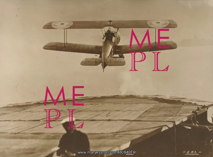 : Sopwith 2F1 Camel : Sopwith 2F1 Camel