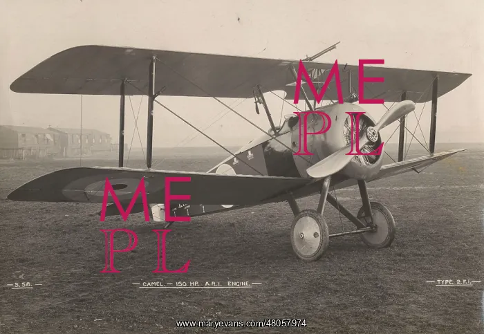 : Sopwith 2F1 Camel N6635 at Brooklands : Sopwith 2F1 Camel N6635 at Brooklands
