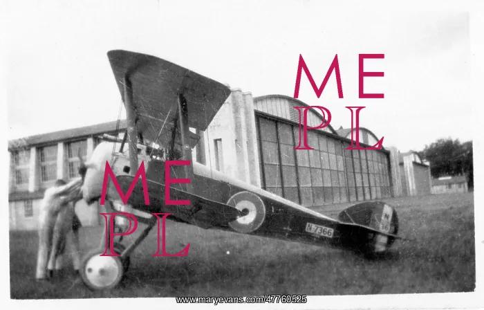 : Sopwith 2F.1 Camel N7366 : Sopwith 2F.1 Camel N7366