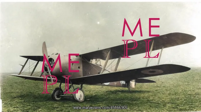  : Sopwith 3F2 Hippo, (forward view, on the ground)