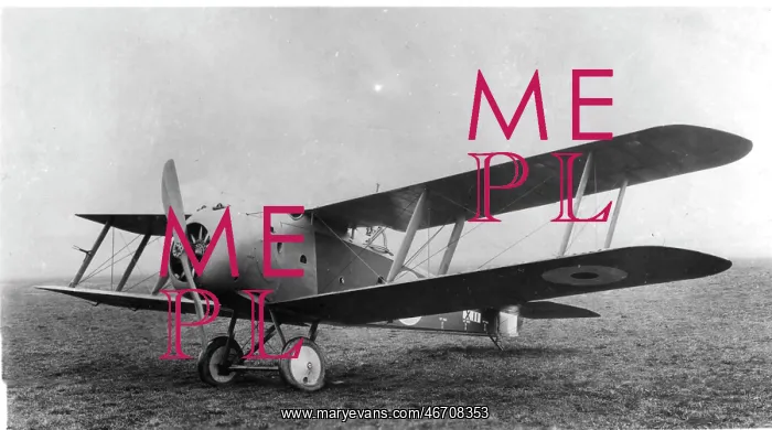 : Sopwith 3F2 Hippo, (forward view, on the ground) : Sopwith 3F2 Hippo, (forward view, on the ground)
