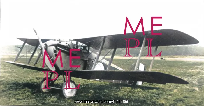 : Sopwith 5F Dolphin single-seat fighter : Sopwith 5F Dolphin single-seat fighter