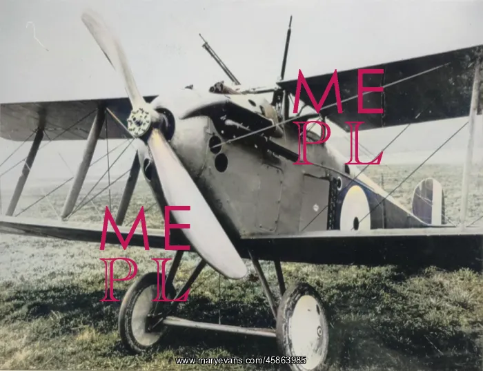 : Sopwith 5F Dolphin single-seat fighter : Sopwith 5F Dolphin single-seat fighter