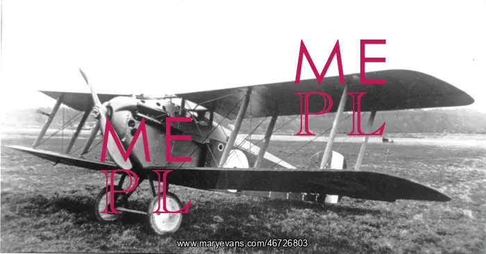 : Sopwith 5F Dolphin single-seat fighter : Sopwith 5F Dolphin single-seat fighter