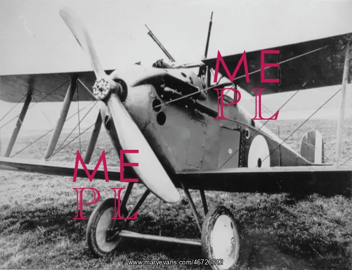 : Sopwith 5F Dolphin single-seat fighter : Sopwith 5F Dolphin single-seat fighter