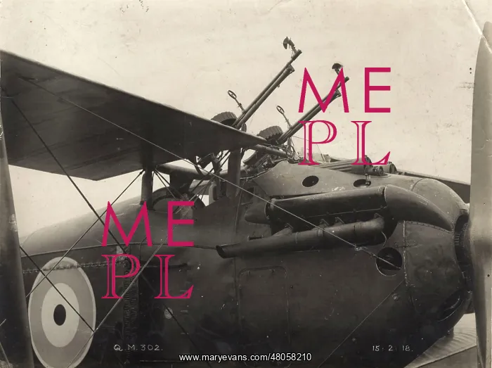  : Sopwith 5F1 Dolphin