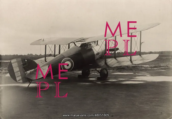 : Sopwith 7F1 Snipe B9966 : Sopwith 7F1 Snipe B9966