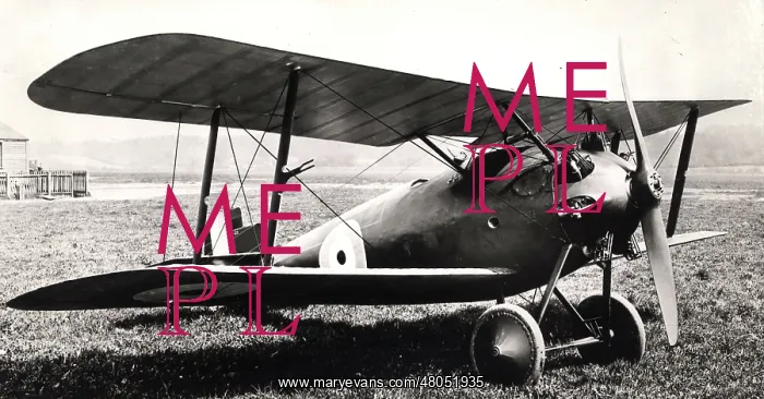 : Sopwith 8F1 Snail C4288 with a monocoque fuselage : Sopwith 8F1 Snail C4288 with a monocoque fuselage