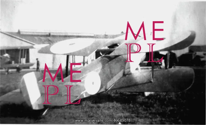 : Sopwith Bee single-seater biplane : Sopwith Bee single-seater biplane