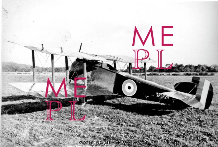 : Sopwith Buffalo two-seat support and reconnaissance plane : Sopwith Buffalo two-seat support and reconnaissance plane