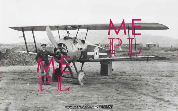 : Sopwith Camel 2F-1 : Sopwith Camel 2F-1