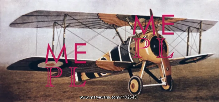 : Sopwith Camel F-1 : Sopwith Camel F-1
