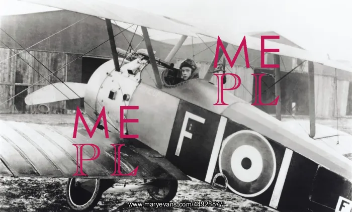 : Sopwith Camel F-1 : Sopwith Camel F-1